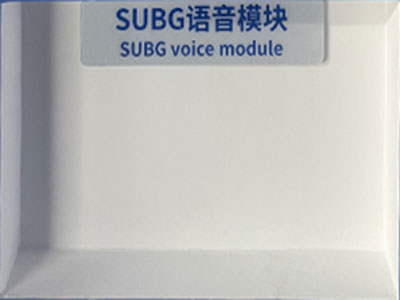 SUBG语音模块