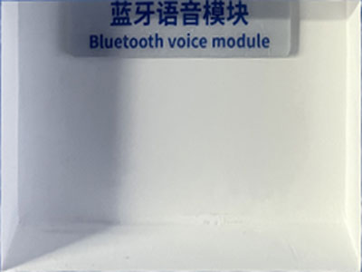 蓝牙语音模块